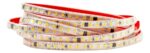 Tira Led 220v x10mts - Imagen 2